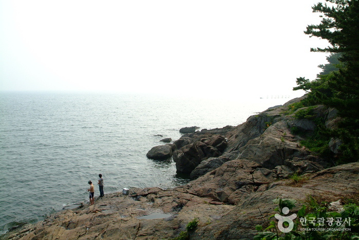 竹岛(保宁)죽도(보령)