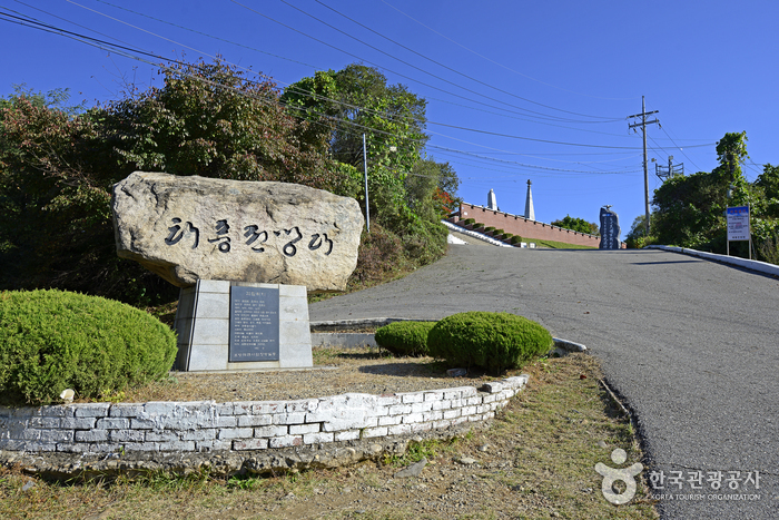 台风展望台(태풍전망대)