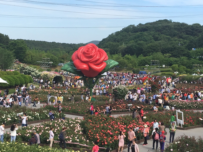 蔚山大公园玫瑰节울산대공원 장미축제