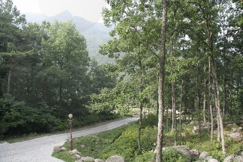 琵瑟山自然休养林(비슬산자연휴양림)