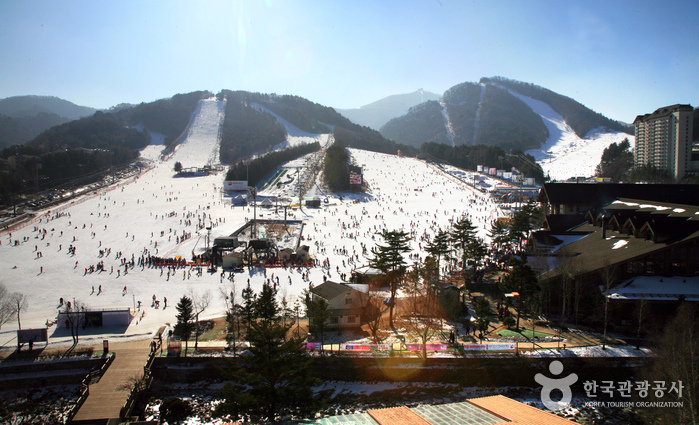 龍平渡假村滑雪場(용평리조트 스키장)