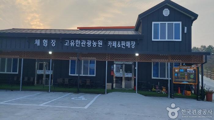 高柚觀光農園渡假民宿[韓國觀光品質認證/Korea Quality] 고유한관광농원펜션[한국관광 품질인증/Korea Quality]
