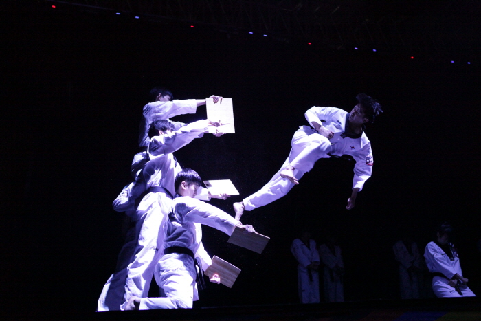 國技院跆拳道示範團常設表演：「偉大的跆拳道 – 月之武士」(국기원 태권도 시범단 상설공연: 'Great Taekwondo - 달의 무사')