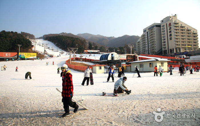 熊城渡假村滑雪場(베어스타운리조트 스키장)