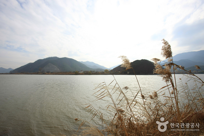 洛東江(낙동강)