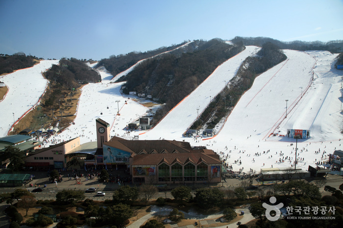 百玩地公園滑雪世界(비발디파크 스키월드)