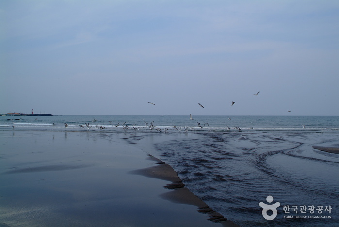 三陽黑沙灘(삼양 검은모래해변)