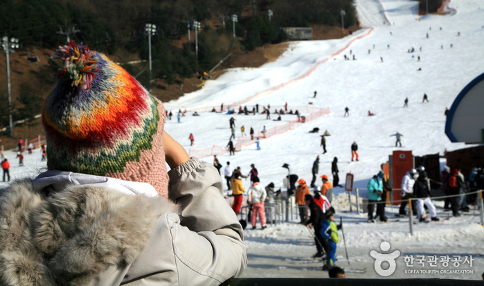 陽智Pine渡假村滑雪場(양지파인리조트 스키장)