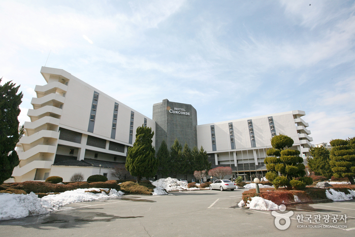 慶州Concorde飯店(경주콩코드호텔)