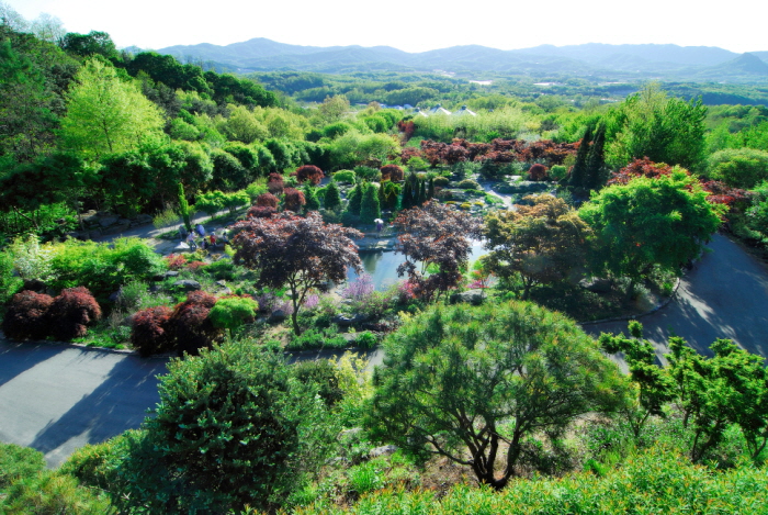 韓宅植物園(한택식물원)