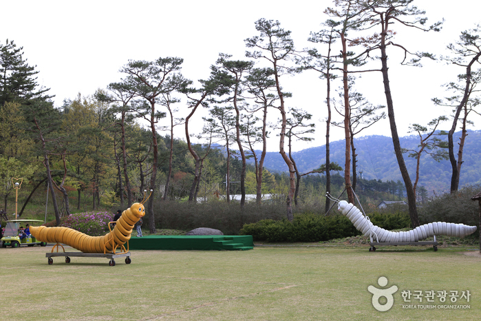 咸平自然生態公園(함평 자연생태공원)