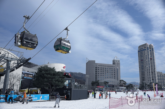 鳳凰島平昌滑雪場(휘닉스 스노우파크)