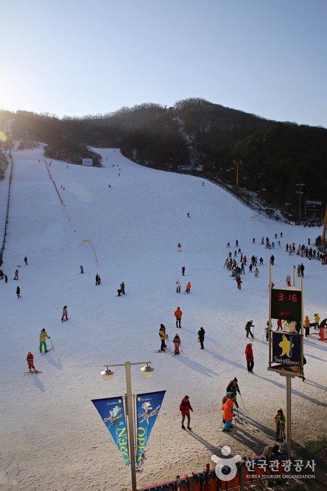 星丘渡假村(스타힐리조트) 星丘渡假村(스타힐리조트)