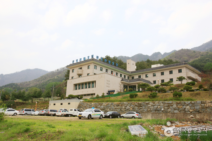 聞慶觀光飯店(문경관광호텔)