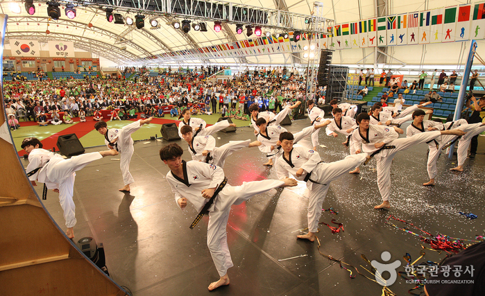 世界跆拳道文化博覽會(세계태권도문화엑스포)
