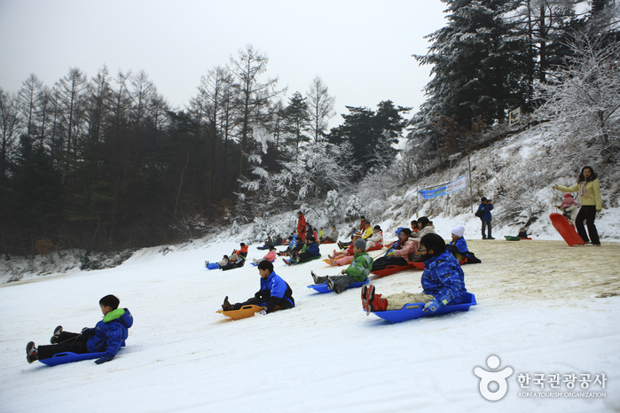 楊平韓華渡假村雪橇場(양평한화리조트 눈썰매장)