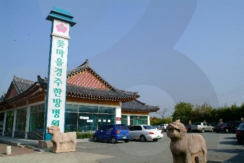 花村慶州韓方醫院(꽃마을 경주한방병원)