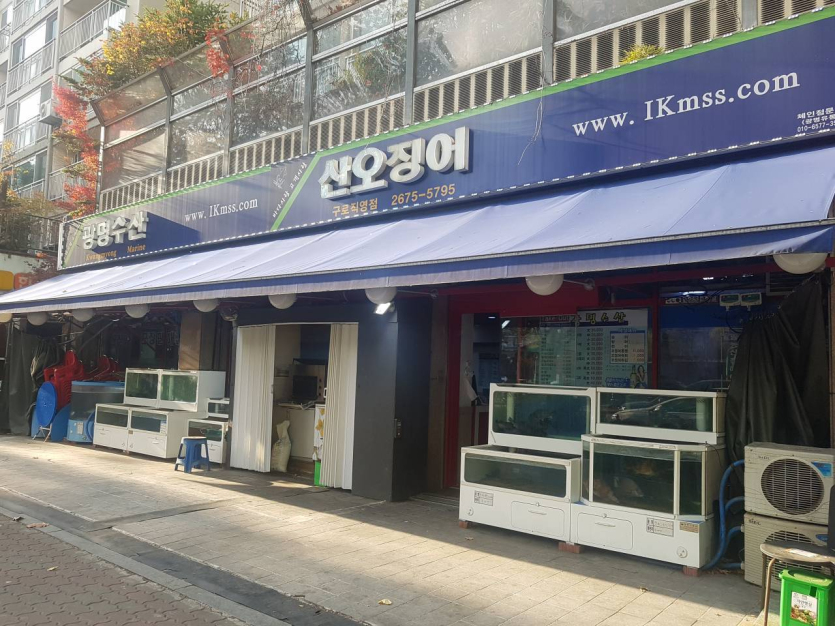 光明水產(광명수산)