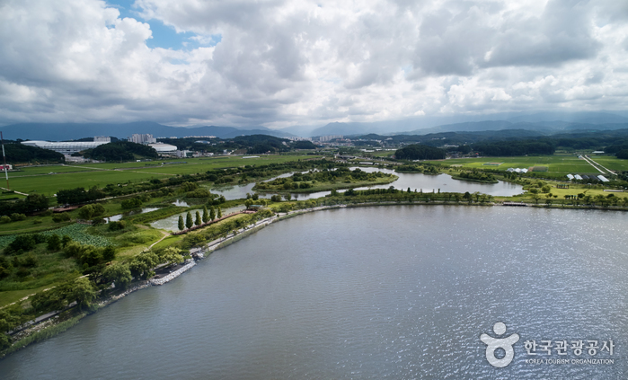Gyeongpoho Lake (경포호(철새도래지))