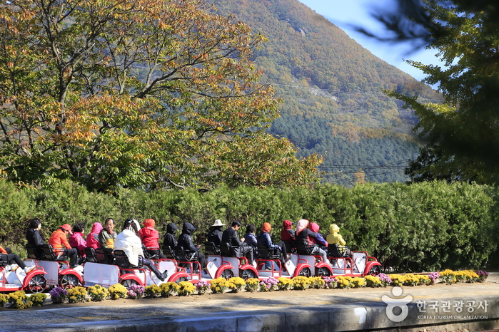 Gangchon Rail Park (Gimyujeong Railbike) (강촌레일파크 (김유정레일바이크))