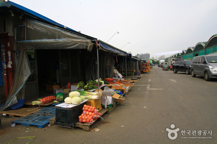 Garak Market (가락시장 (가락농수산물 도매시장))