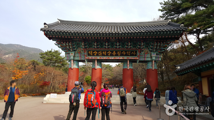 Deoksungsan Mountain (덕숭산)