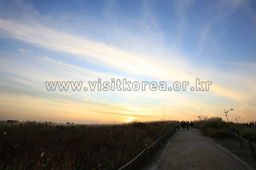 Haneul Park Sunrise Festival (하늘공원해맞이행사) Haneul Park Sunrise Festival (하늘공원해맞이행사)