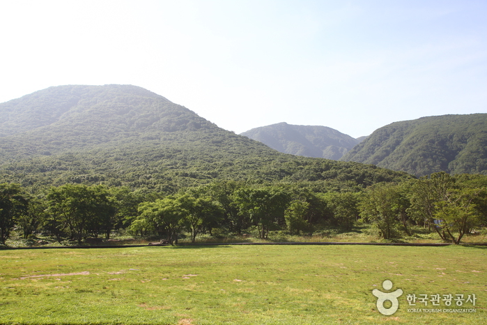 Hallasan Mountain Trekking (한라산 트레킹)