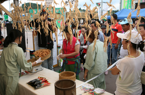 Geumsan Ginseng Market (금산인삼약령시장)