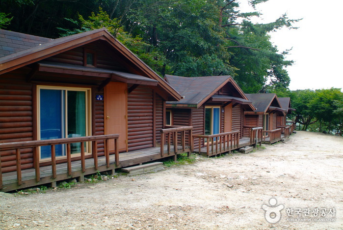Bakdaljae Recreational Forest (박달재자연휴양림)