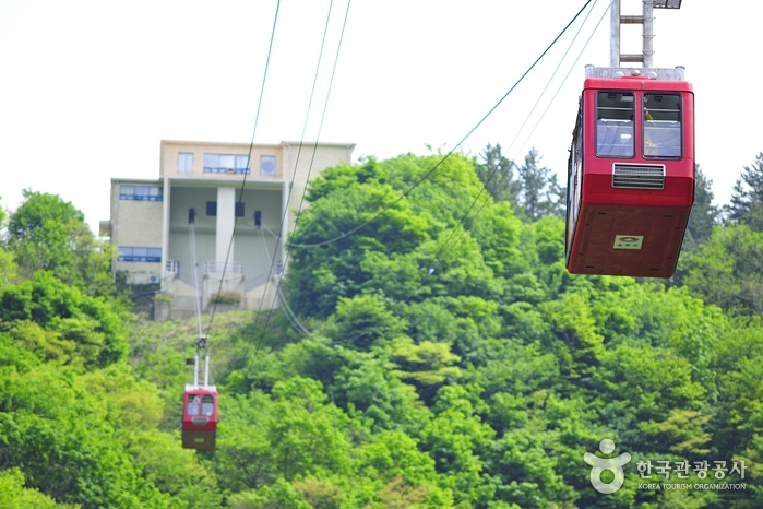 Dokdo Island Observatory Cable Car (독도전망대 케이블카)