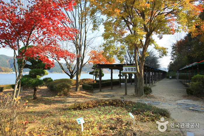 Yedang Reservoir (예당저수지(예당관광지))