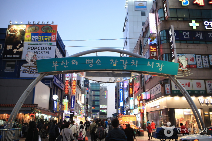 Jagalchi Market (부산 자갈치시장)