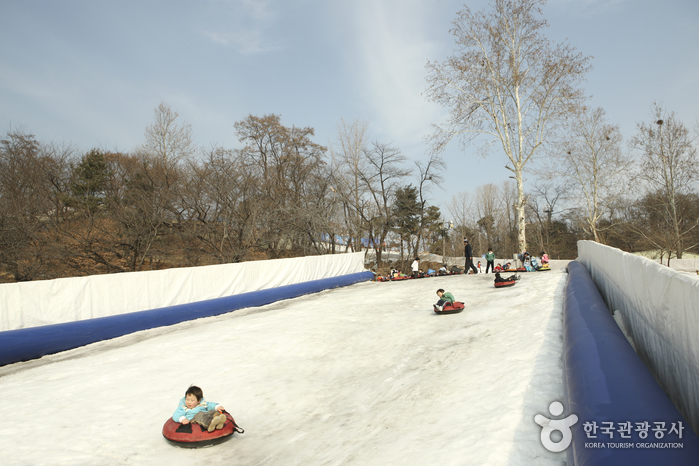 Korean Children’s Center Snow Sledding Field (어린이회관 눈썰매장)