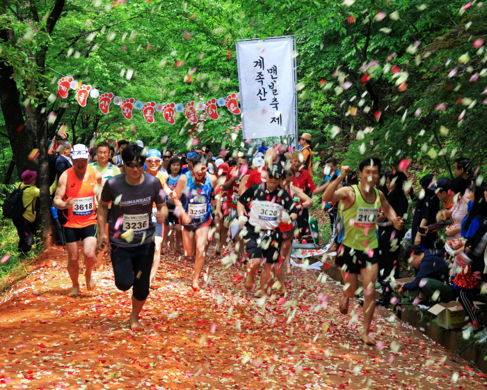 Gyejoksan Red Clay Trail (계족산 황톳길)
