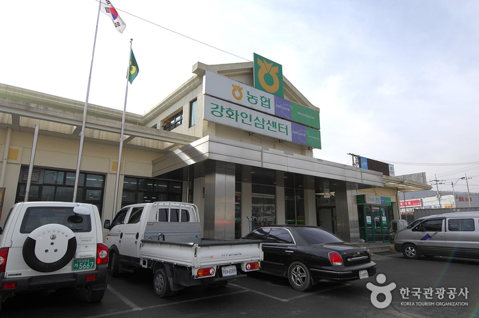 Ganghwa Ginseng Center (강화 인삼센터)