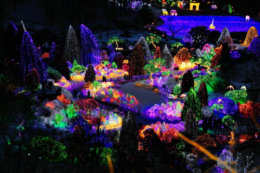 Lighting Festival at The Garden of Morning Calm (오색별빛정원전)