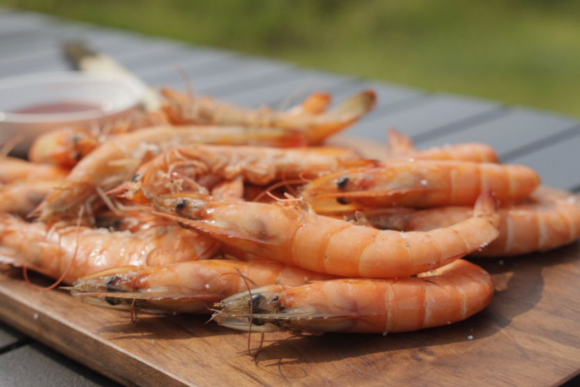 Hongseong Namdanghang Port Jumbo Shrimp Festival (홍성 남당항 대하축제)
