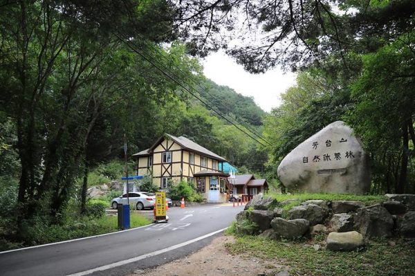 방태산 자연휴양림 캠핑장