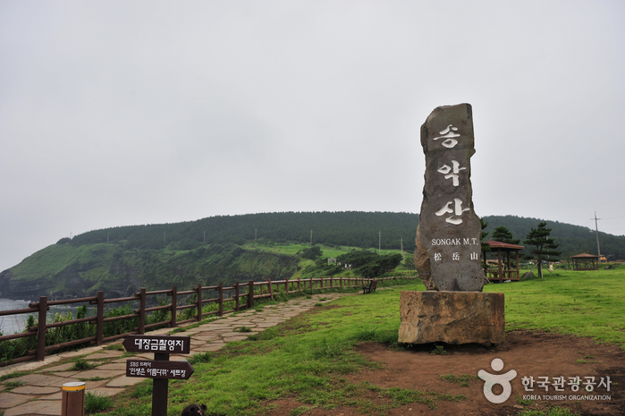 Berg Songaksan (송악산)
