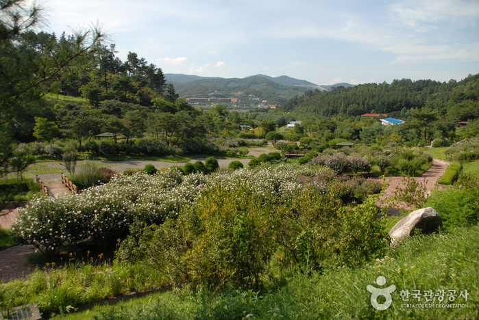 Erholungswald Geumgang (Arboretum, Forstmuseum) (금강자연휴양림(금강수목원,산림박물관))
