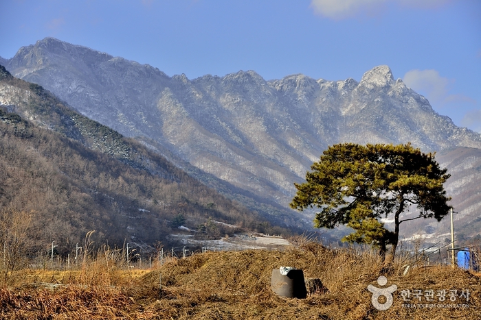 Berg Juheulsan (주흘산)