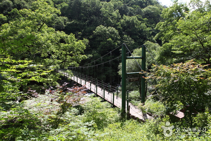 Berg Gongjaksan (공작산)