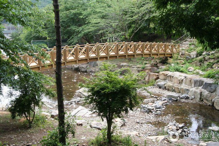 Erholungswald Jeamsan (제암산자연휴양림)