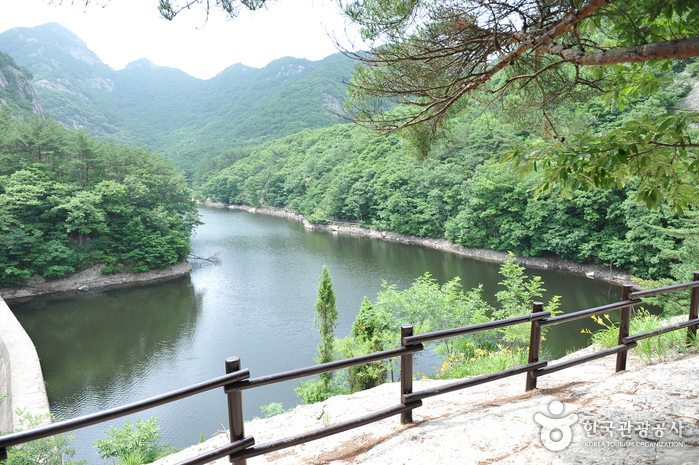 Berg Naebyeonsan (내변산)