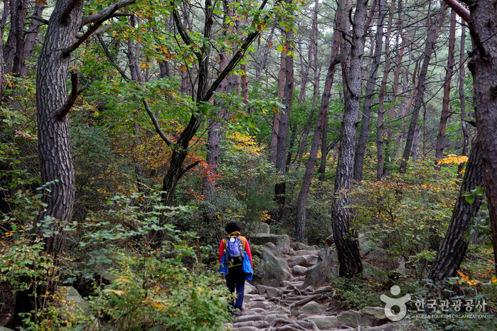 Berg Gyeongju Namsan (경주 남산)
