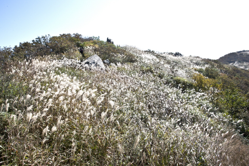 Berg Oseosan (오서산)