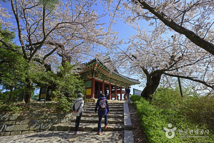 Беседка Кёнпходэ (강릉 경포대)