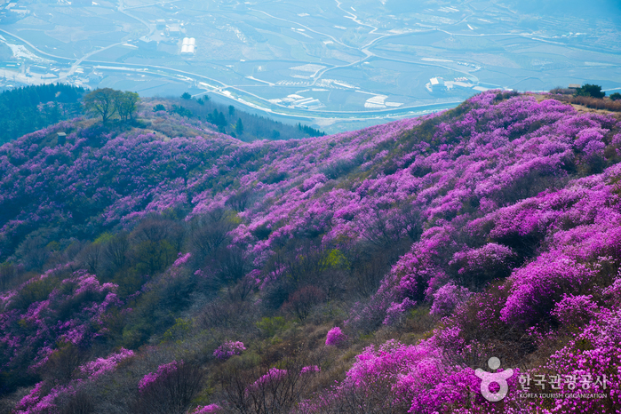 Гора Ёнчхвисан в Йосу (영취산(여수))