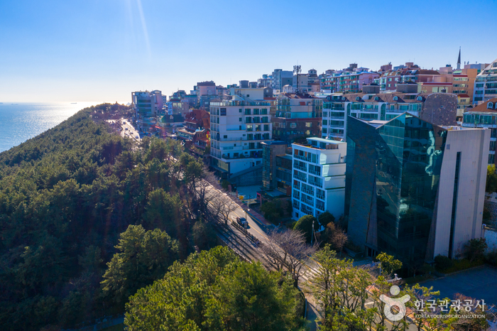 Дорога Тальмачжи на Хэундэ (해운대 달맞이길)